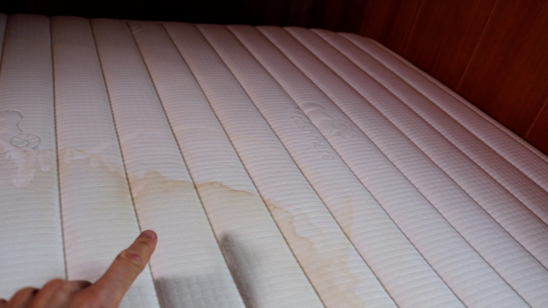 How To Remove Pee Stains Urine Stains From Any Mattress